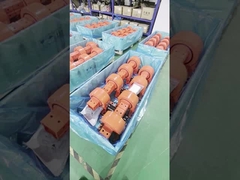 Motor de rolamento de duplo eixo de auto-bloqueio com classificação IP66